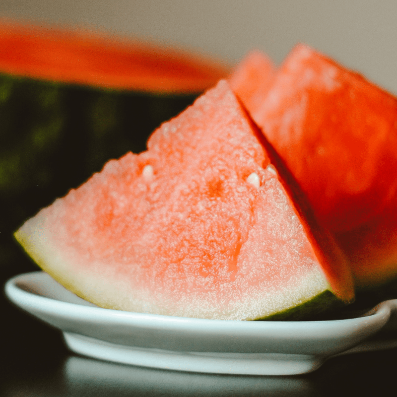 Organic Sugar Baby Watermelon Fruition Seeds Organic Sugar Baby Watermelon Fruition Seeds